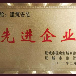先進(jìn)企業(yè)