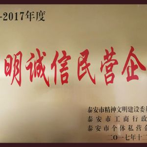 2016-2017年度文明誠(chéng)信民營(yíng)企業(yè)