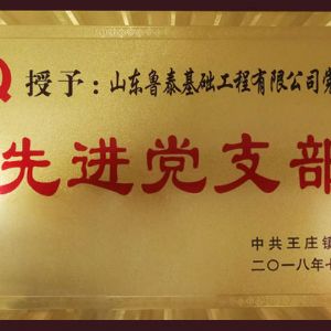 先進(jìn)黨支部